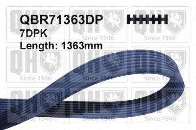 QUINTON HAZELL qbr71363dp -  Поликлиновой ремень